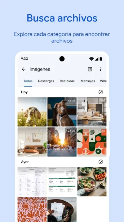 Captura 2 de Files de Google