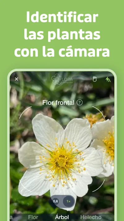 Captura 2 de Flora Incognita