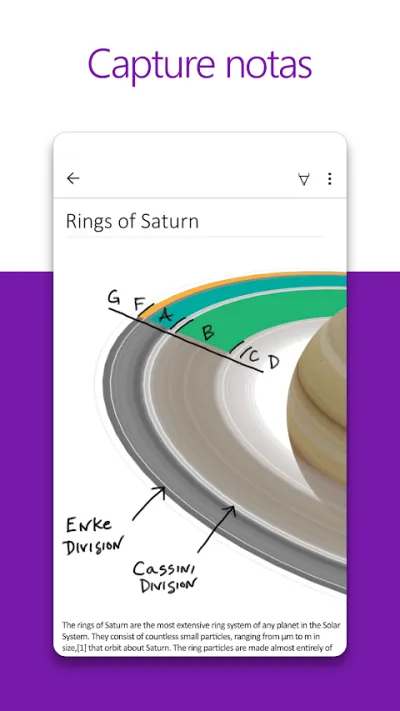 Captura 1 de Microsoft OneNote