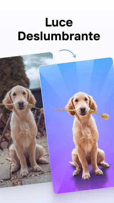 Captura 3 de Photoroom: Editor con IA