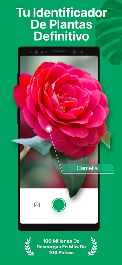 Captura 1 de PictureThis: Identificar Plantas