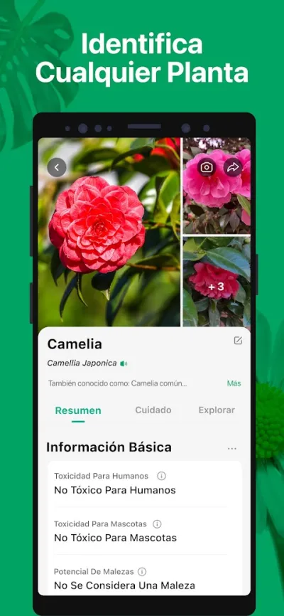 Captura 2 de PictureThis: Identificar Plantas