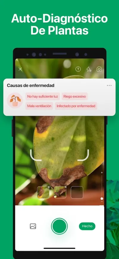 Captura 4 de PictureThis: Identificar Plantas