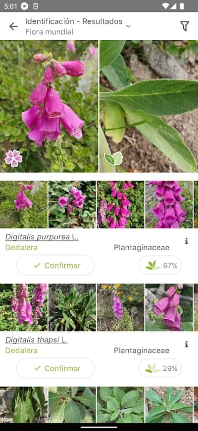 Captura 2 de PlantNet: Identificar Plantas