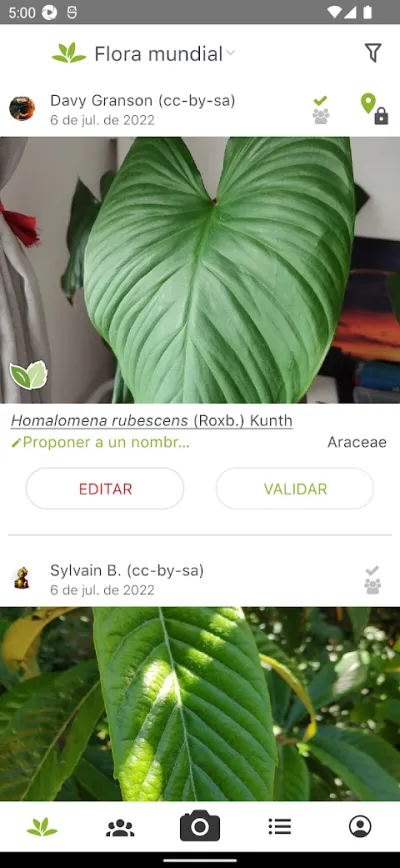 Captura 4 de PlantNet: Identificar Plantas