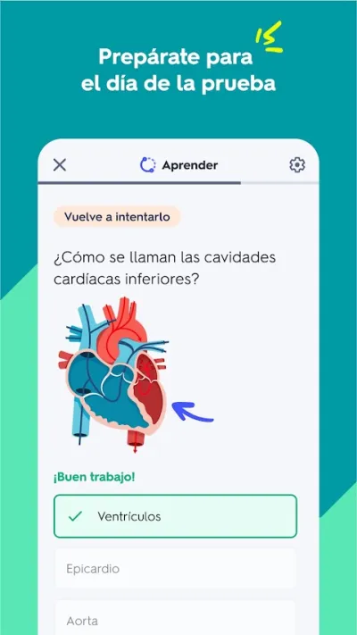 Captura 3 de Quizlet: Tarjetas de Estudio
