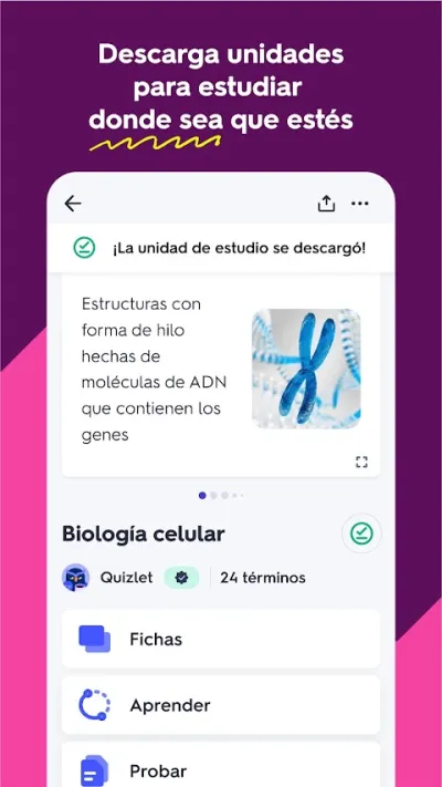 Captura 4 de Quizlet: Tarjetas de Estudio