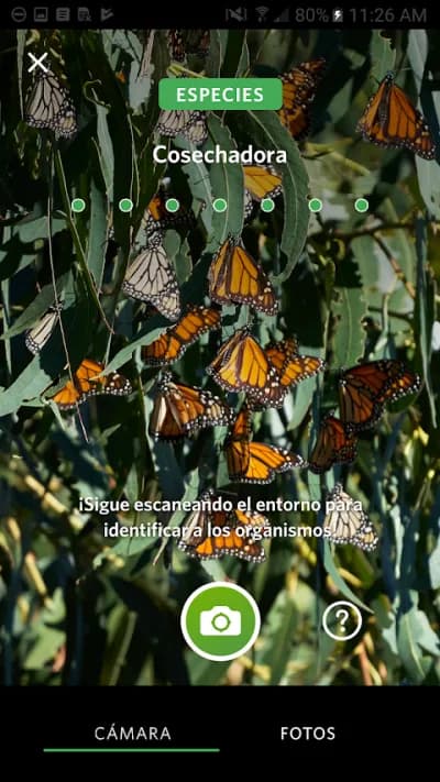 Captura 1 de Seek, por iNaturalist
