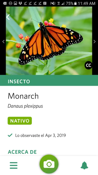 Captura 2 de Seek, por iNaturalist